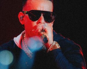 Daddy Yankee, cantante