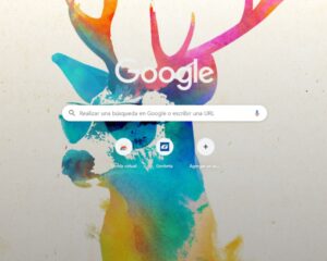 Google Chrome, navegador