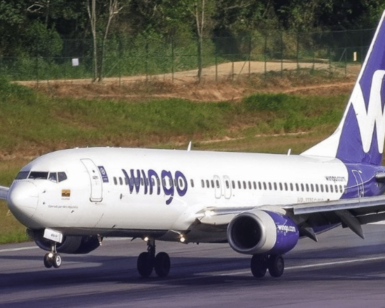 Wingo retomará la ruta de Bogotá Caracas Confidencial Noticias