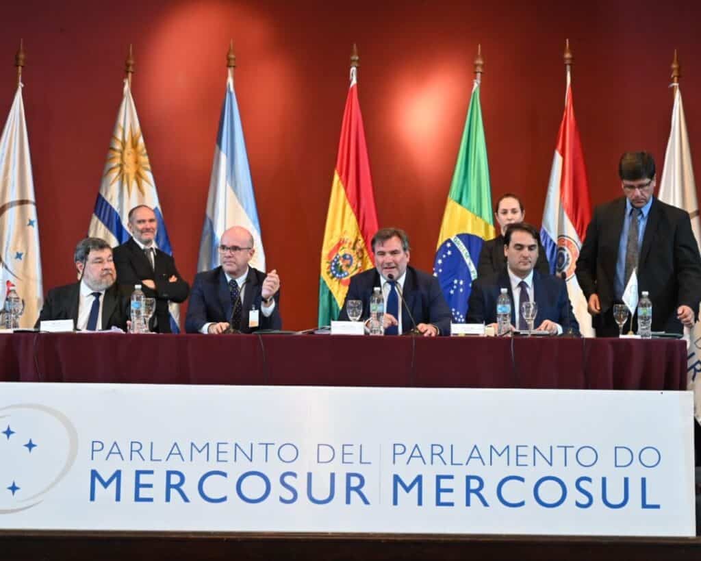 Mercosur, organización