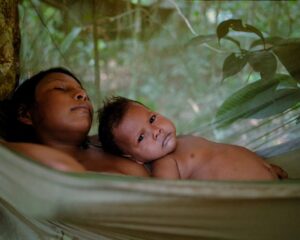 40 Días Perdidos en la Selva, filme